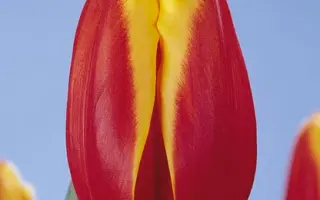 Casa Nova / Каса Нова