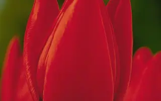 Cassini / Кассини