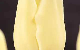 City of Vancouver / Сити оф Ванкувэр