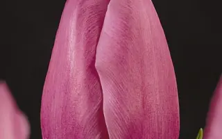 Concours / Конкурс