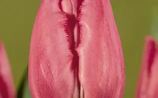 Crystal Glow / Кристал Глов