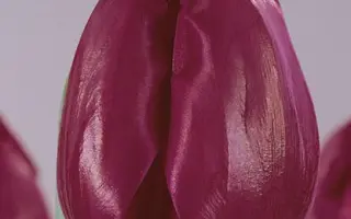 Demeter / Дэмэтэр