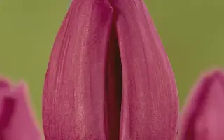 Doctor An Wang / Доктор Эн Ванг