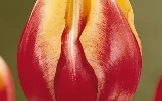 Dow Jones / Доw Джонс