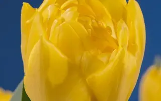 Eskilstuna / Эскилстуна