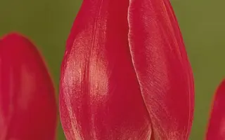 Eurostar / Евростар