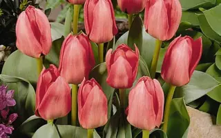 Free World / Фри Ворлд