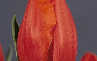 Frohnleiten / Фрохнлеитен