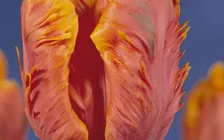 Glasnost / Гласност