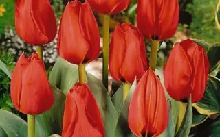 Grand CoulГ©e / Гранд ЦоулГ©э