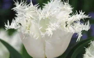 Happy Hour / Hаппь Hоур