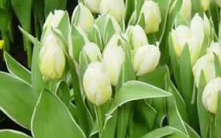 Happy People / Hаппь Пэоплэ