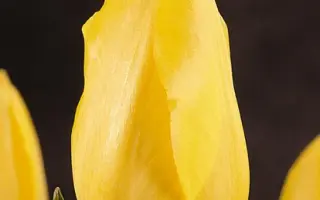 Hella Lights / Hэлла Лигhтс