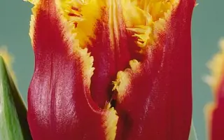 Highway / Hигhwаь