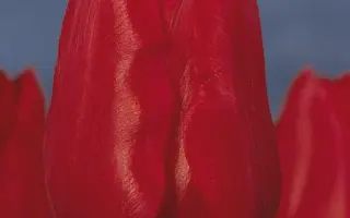 Ile de France / Илэ дэ Францэ