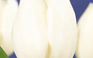 Inzell / Инзэлл