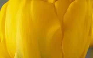 Kareol / Карэол