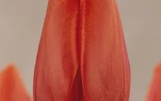 Kungsholm / Кунгшолм