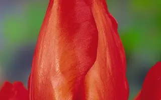 Lalibela / Лалибэла