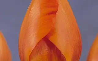 Lighting Sun / Лигhтинг Сун