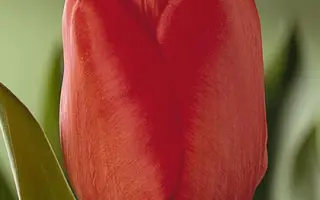 London / Лондон