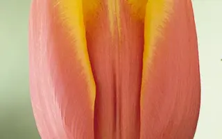 Los Angeles / Лос Ангэлэс