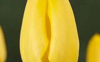 Makassar / Макассар