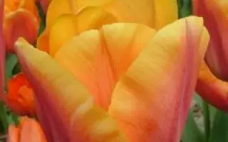 Manhattan / Манhаттан