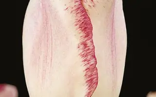 Mata Hari / Мата Hари