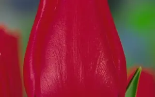 Meteor / Мэтэор