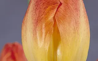 Montevideo / Монтэвидэо