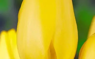 Moonwalker / Моонwалкэр