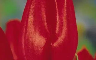 Movie Star / Мовиэ Стар