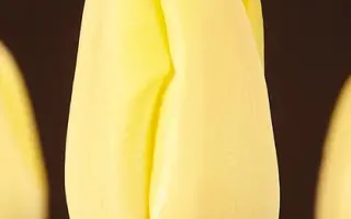 Nagano / Нагано