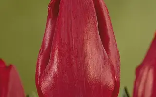 Nairobi / Наироби