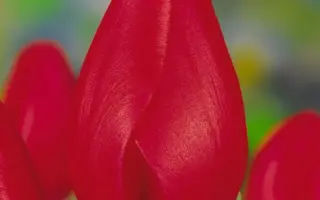 Opmeer / Опмээр