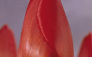 Oxford / Оxфорд