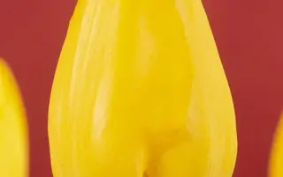 Palm Beach / Палм Бэач