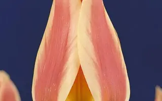 Quebec / Qуэбэц