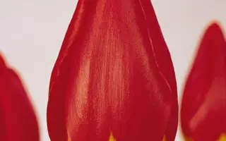 Rhodos / Рhодос