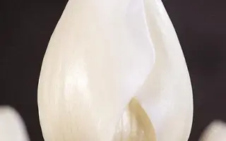 Rocky Mountains / Роцкь Моунтаинс