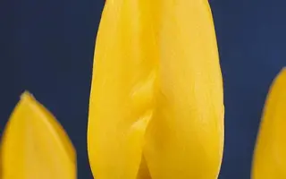 Sancerre / Санцэррэ