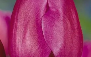 Seaworld / Сэаwорлд