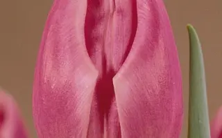 Secret Love / Сэцрэт Ловэ