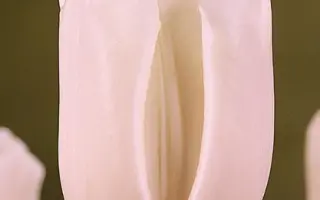 Silverado / Силвэрадо