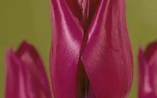 Stability / Стабилить