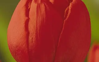 Stockholm / Стоцкhолм