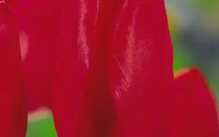 Strawberry Ice / Страwбэррь Ицэ