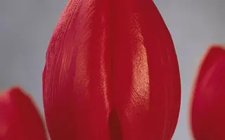 Superstar / Супэрстар