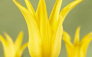 West Point / Wэст Поинт